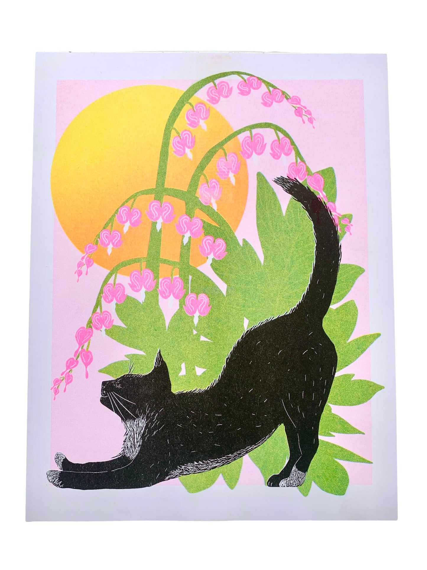 Risograph Print - Bleeding Hearts Cat 8.5x11